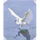 y14335 畫作系列 - 油畫 - 油畫動物 - 趙虎燮油畫  白鷺鷥(作品已被收藏)